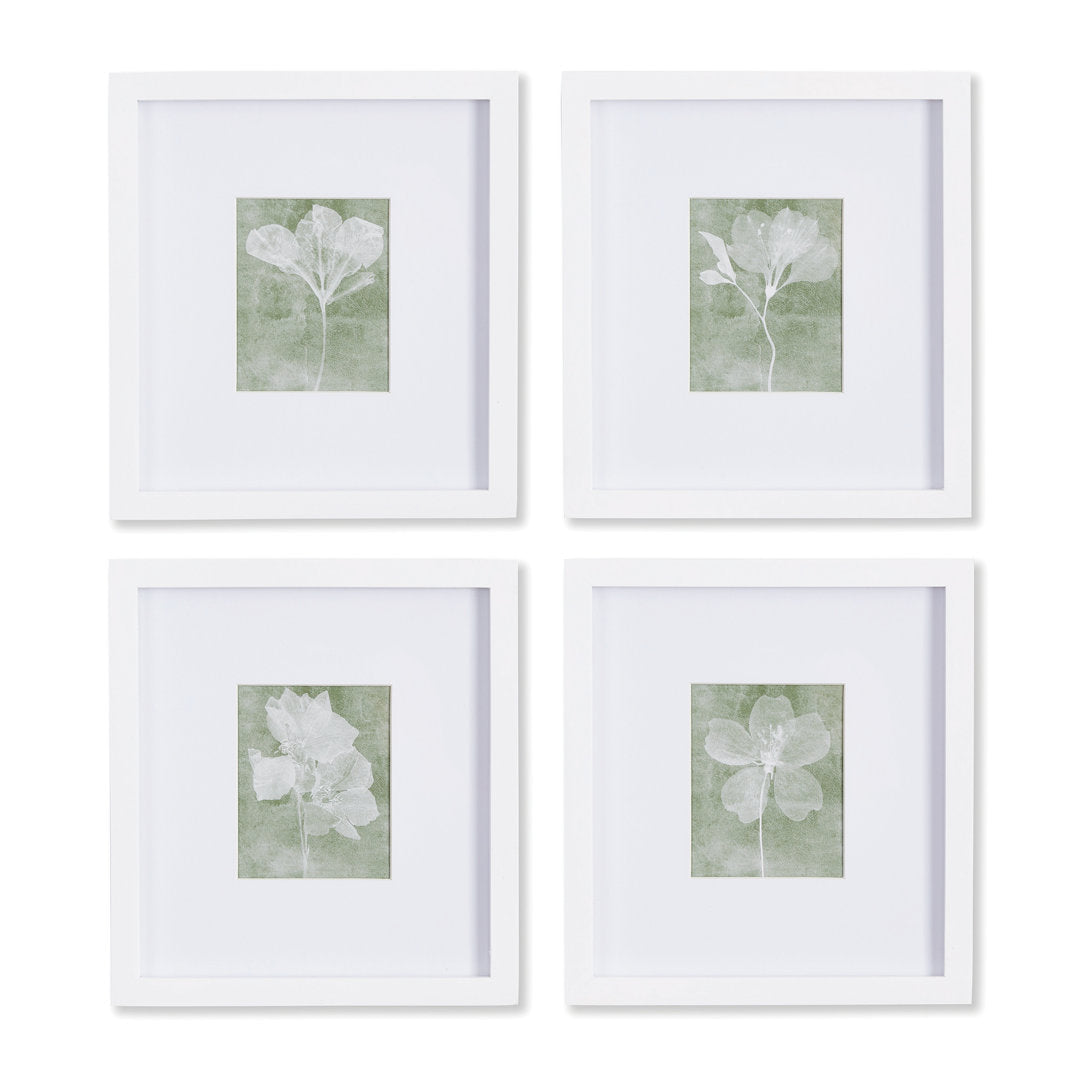 Pinar Translucent Petite - 4 Piece Picture Frame Print Set on Paper Birch Lane™