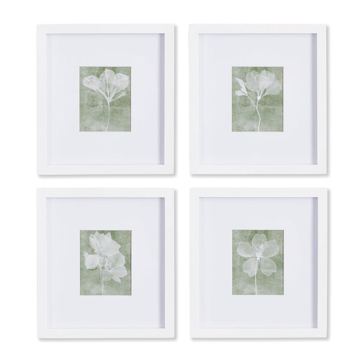 Pinar Translucent Petite - 4 Piece Picture Frame Print Set on Paper Birch Lane™