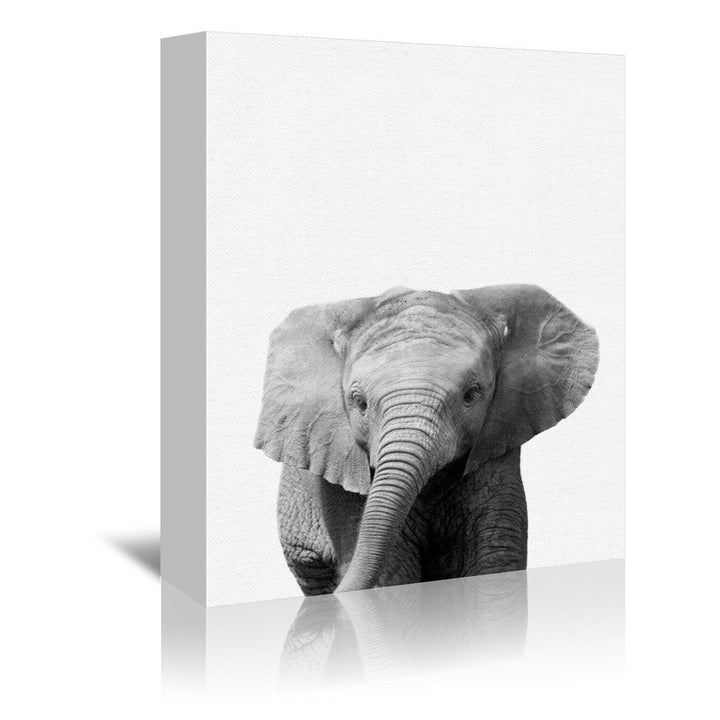 Strecker Nauda Canvas Art (Set of 3) The Twillery Co.® Size: 11" H x 14" W x 1.5" D