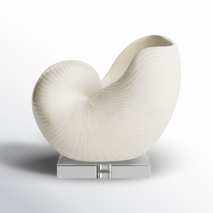 Lakefield Shell Sculpture Birch Lane™