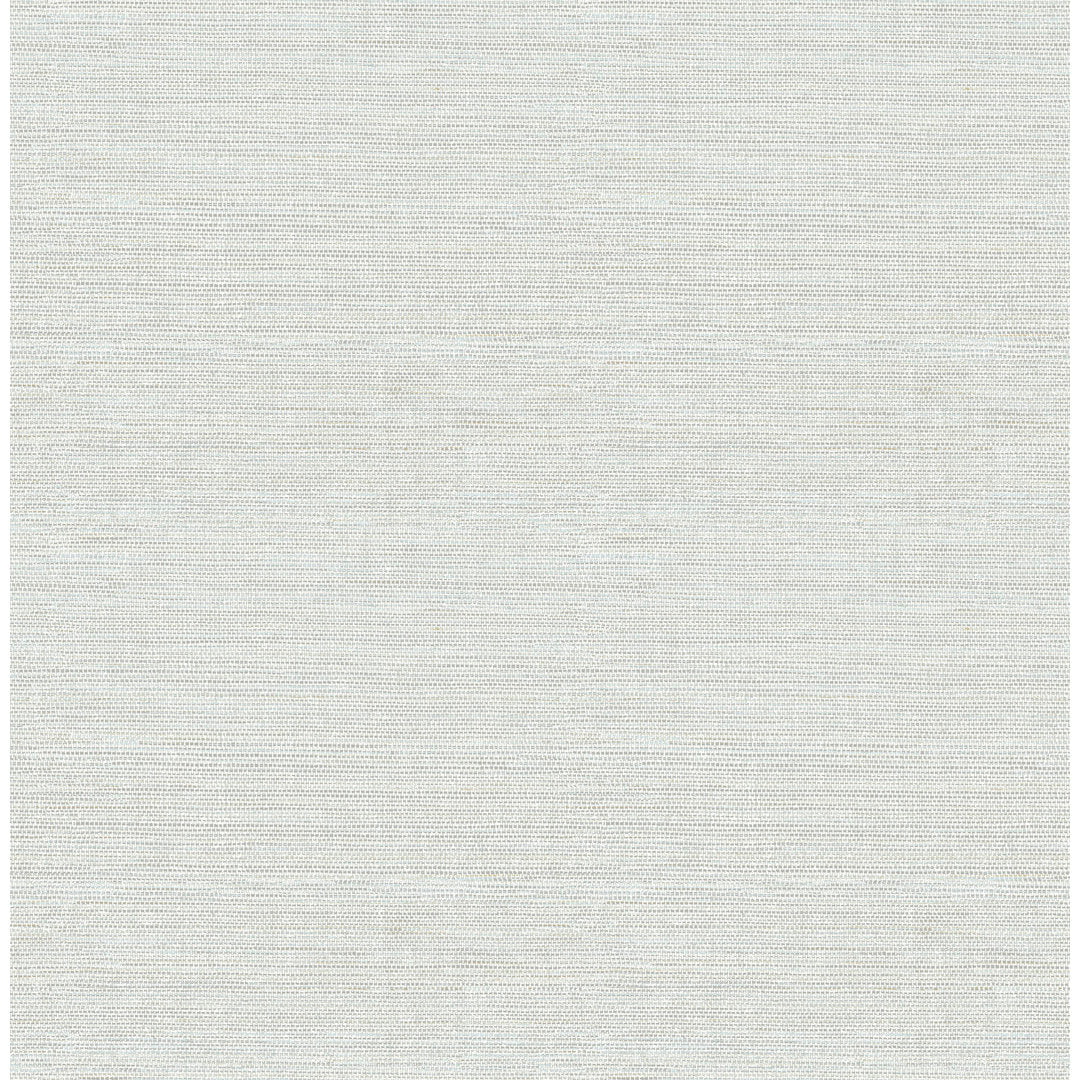 Agave 33' L x 20.5" W Wallpaper Roll Birch Lane™ Color: gray