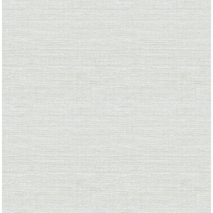 Agave 33' L x 20.5" W Wallpaper Roll Birch Lane™ Color: gray