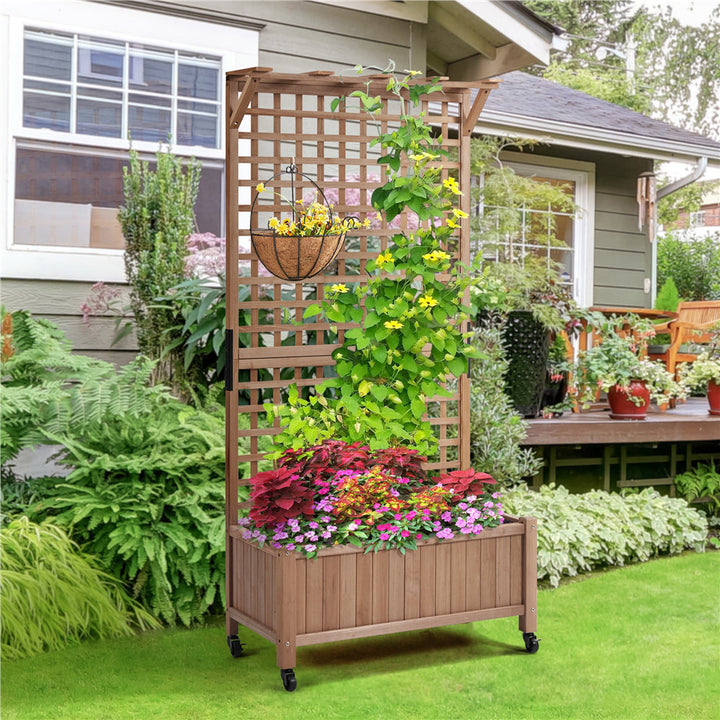 Handmade 72″ H × 35.5″ W Wood Planter Box with Trellis Arlmont & Co. Color: Dark Brown