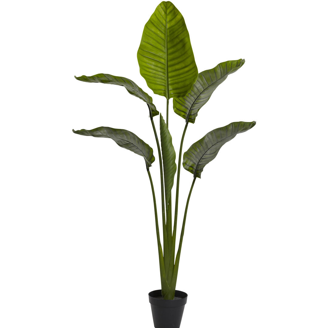 60in. Travelers Palm Tree UV Resistant (Indoor/Outdoor) Bay Isle Home™