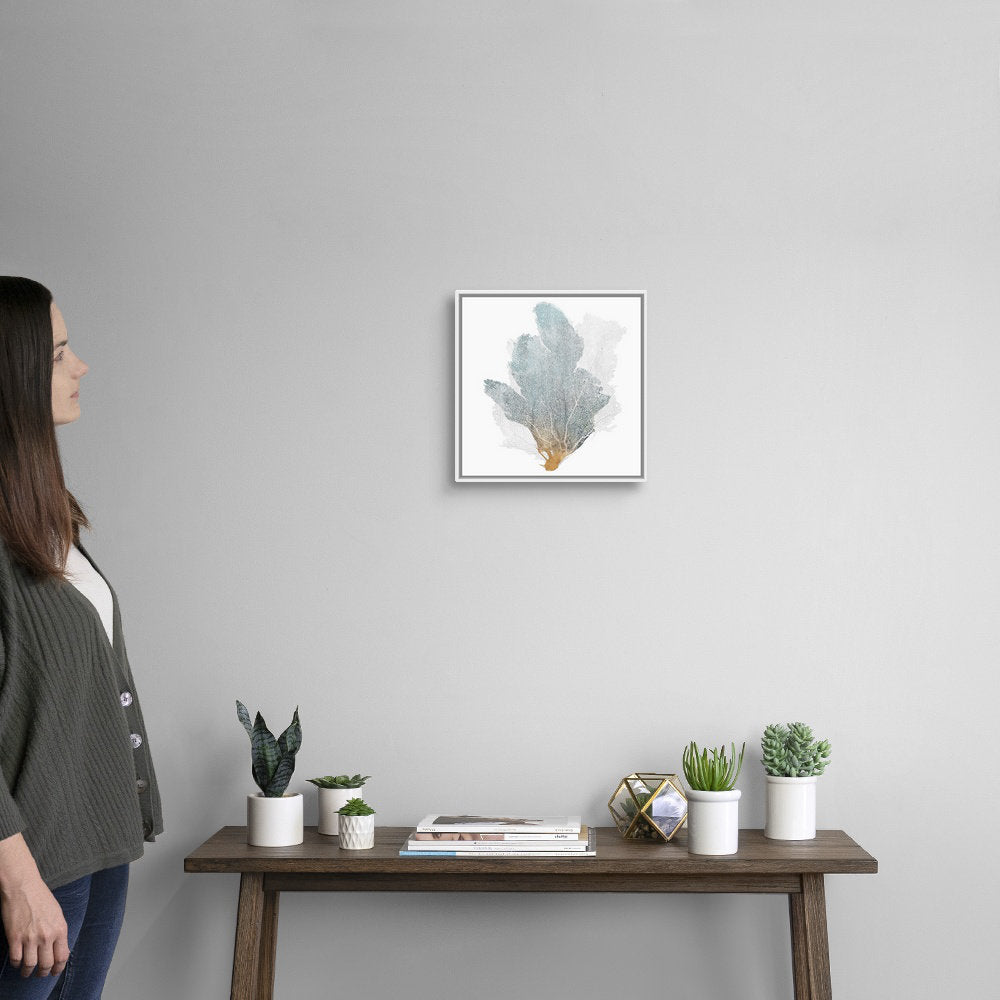 Delicate Coral II by Isabelle Z - Painting Print on Canvas Beachcrest Home™ Size: 14" H x 14" W x 1.75" D Format: White Floater Framed Canvas