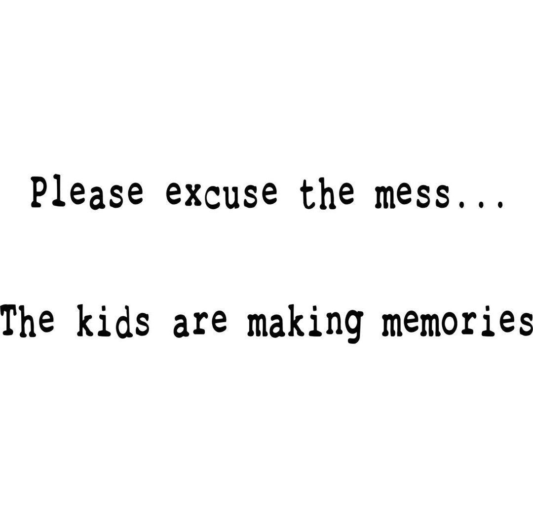 Bessemer Please Excuse the Mess Kids Playroom Quotes Wall Decal Harriet Bee Size: 13" H x 40" W