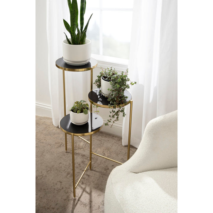 Logan Square Round Multi-Tiered Solid Wood Plant Stand Mercury Row® Color: Black/Gold