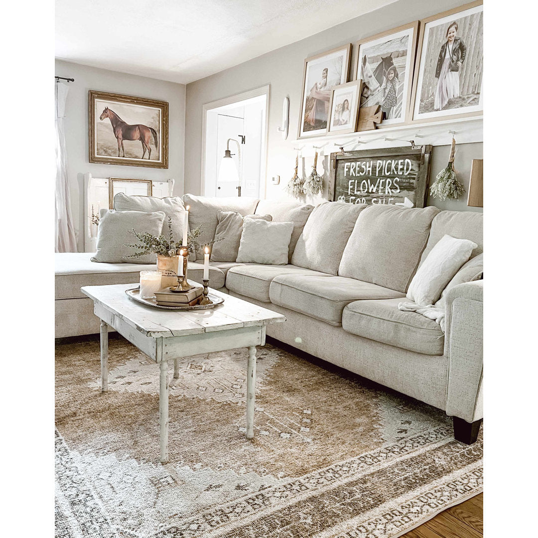 Albar Moroccan Machine Washable Brown Area Rug Foundry Select Rug Size: Rectangle 2'7" x 4'
