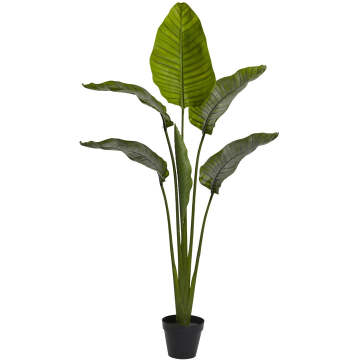 60in. Travelers Palm Tree UV Resistant (Indoor/Outdoor) Bay Isle Home™