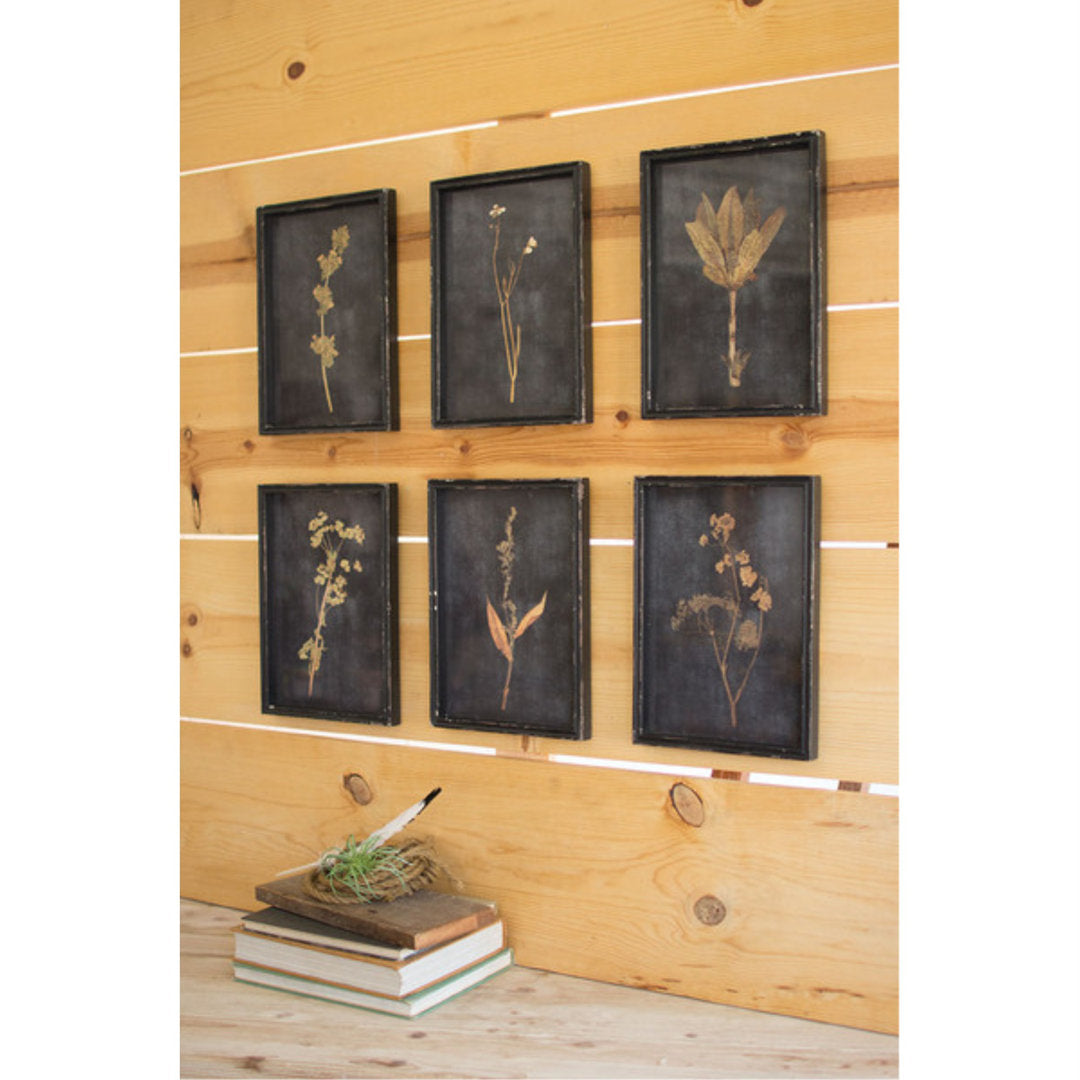 Rodriguez - 6 Piece Picture Frame Print Set on Wood Birch Lane™