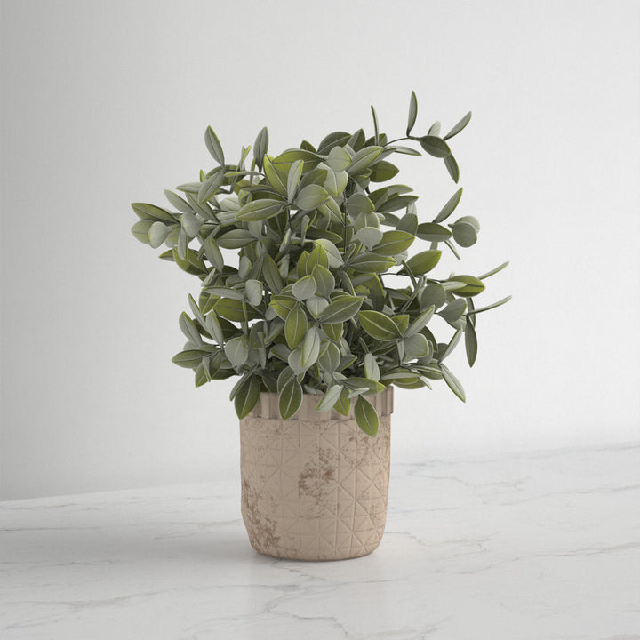 10.25" Artificial Eucalyptus Plant in Pot Kelly Clarkson Home