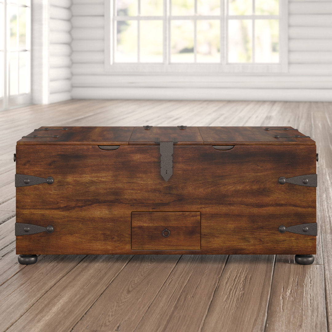 Castrejon Solid Wood Lift Top Coffee Table with Storage World Menagerie