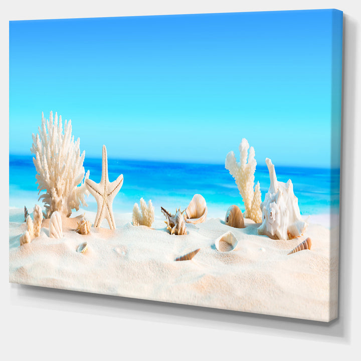 Risa Seashells on Tropical Beach' Graphic Art Highland Dunes Size: 16" H x 32" W x 1" D Format: Wrapped Canvas