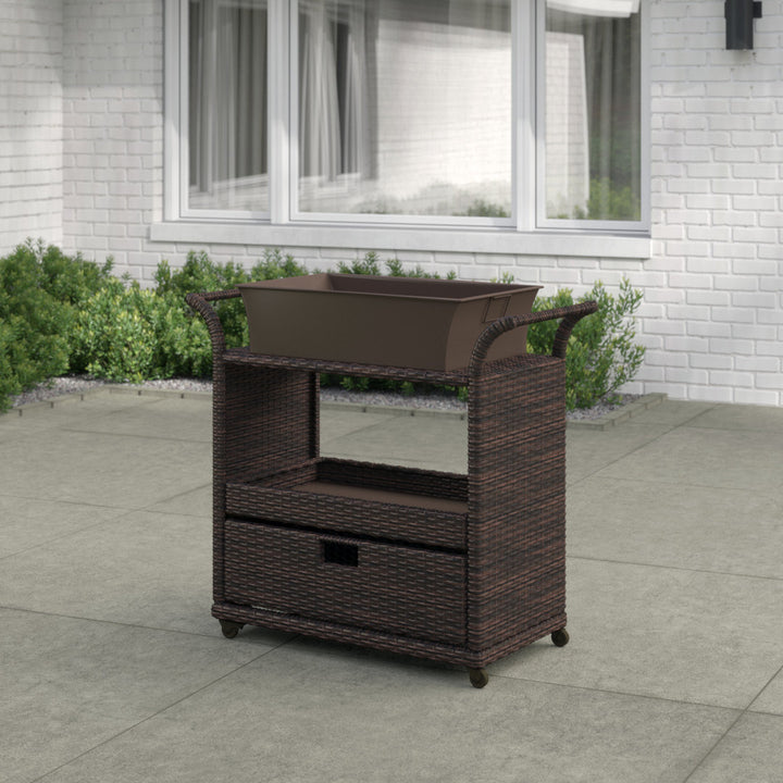 Zytavious Bar Cart with Iron and Wicker Red Barrel Studio®