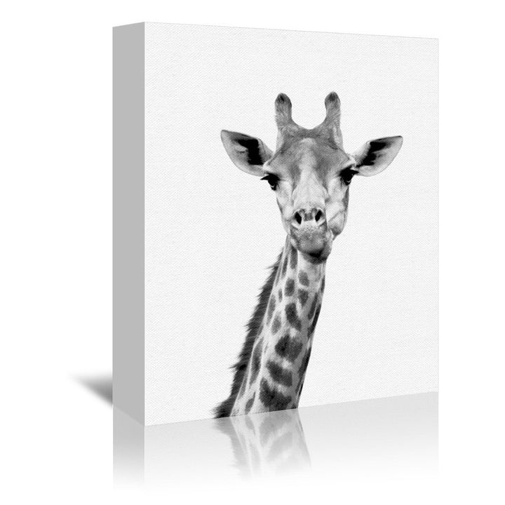 Strecker Nauda Canvas Art (Set of 3) The Twillery Co.® Size: 11" H x 14" W x 1.5" D