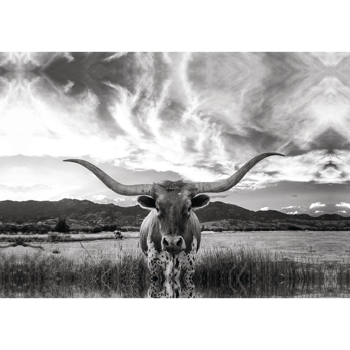 Black And White Longhorn Cow I - Wrapped Canvas Photograph Steelside™ Size: 32" H x 48" W   Format: White Framed Canvas, Mat Included: No