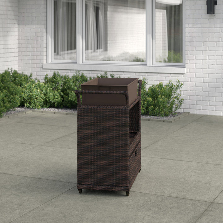 Zytavious Bar Cart with Iron and Wicker Red Barrel Studio®