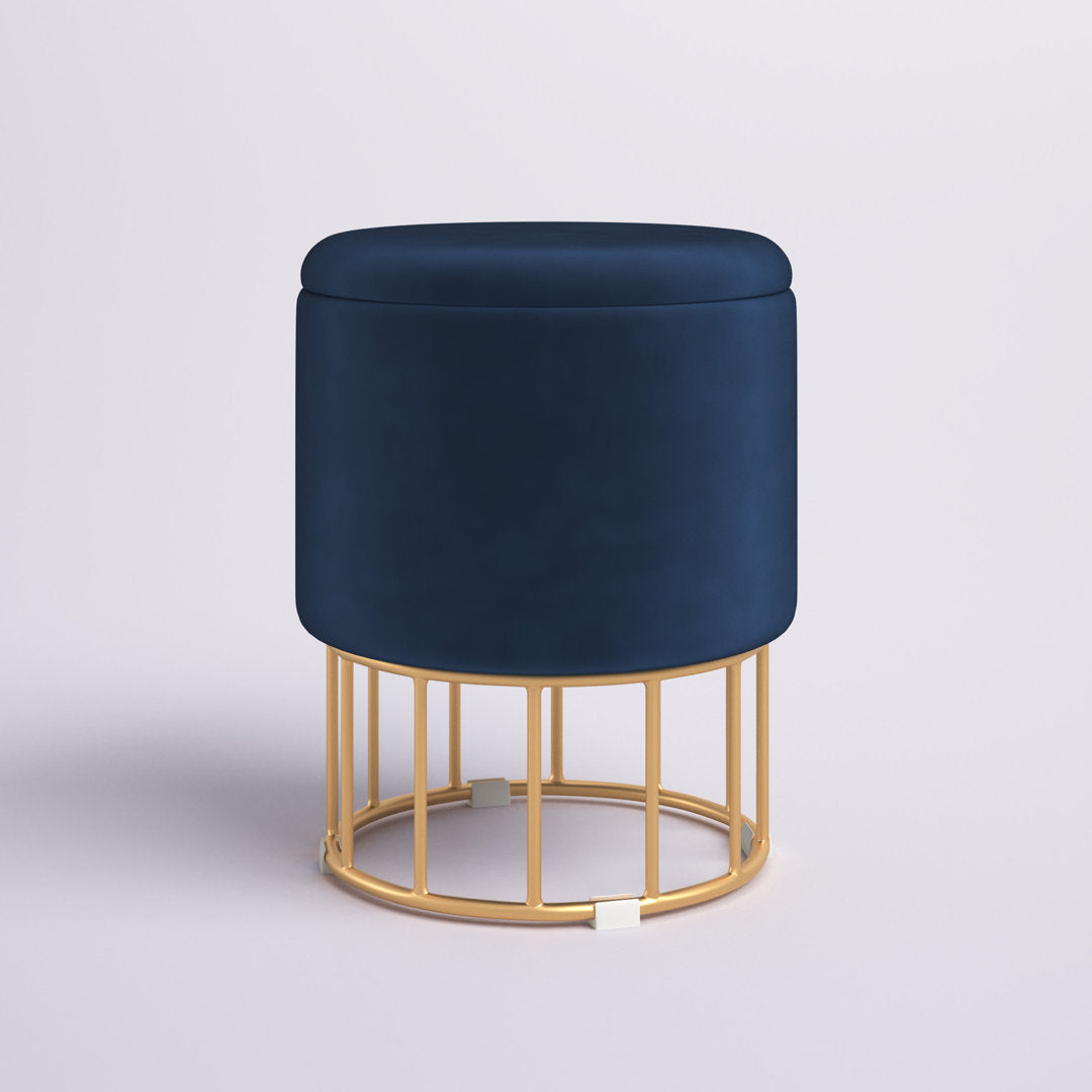 Aleena 13.5" Wide Velvet Round Storage Ottoman Etta Avenue™ Upholstery Color: Blue