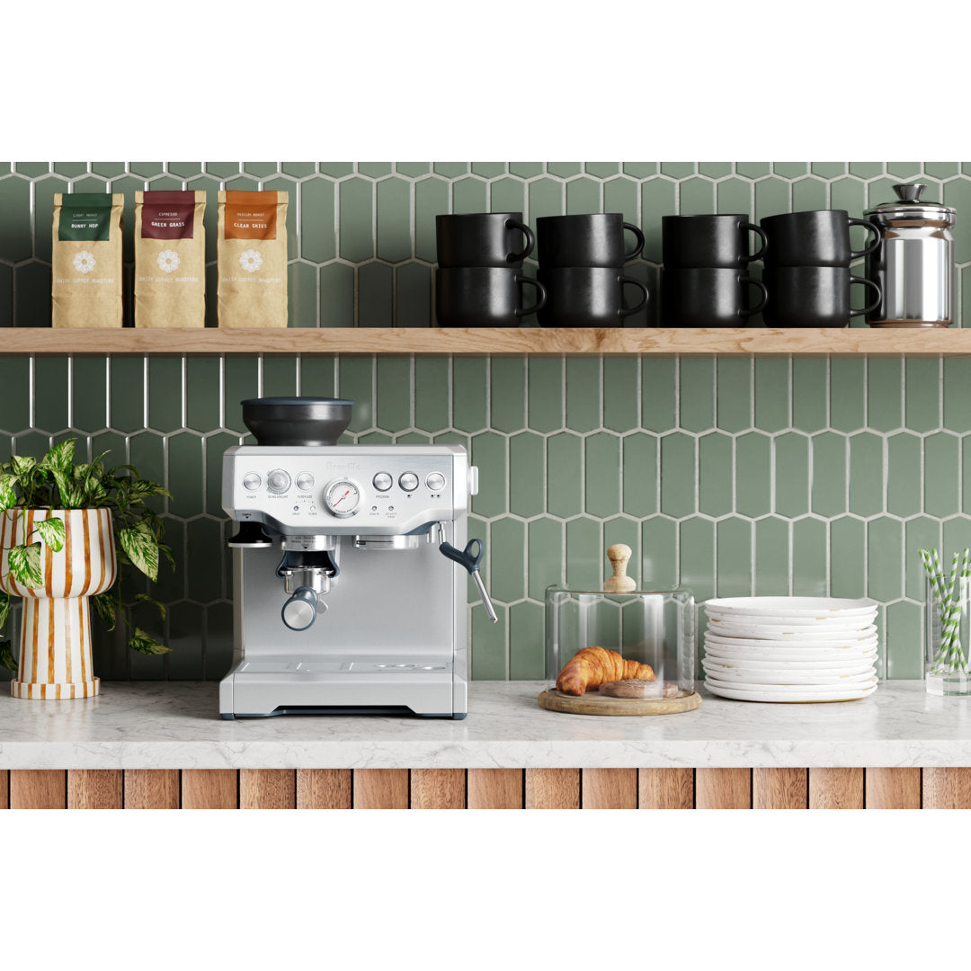 Breville the Barista Express™ Coffee & Espresso Maker Breville Color: Silver