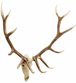 Elk European Wall Décor Union Rustic