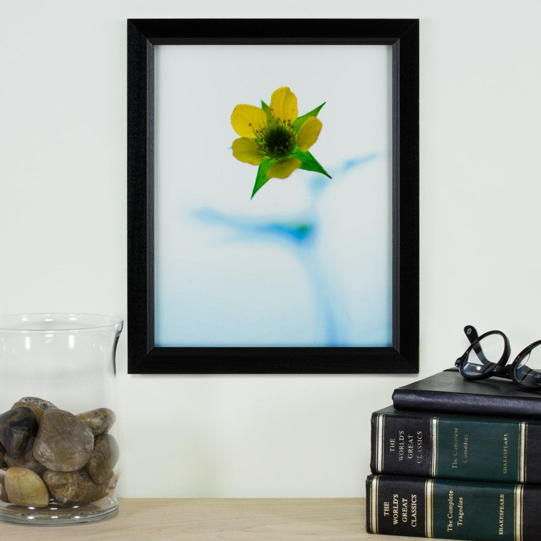 Single Picture Frame Alcott Hill® Color: Black Photo Size: 17" x 24"