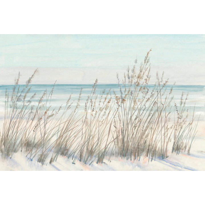 Beach Grass II Beachcrest Home™ Size: 12" H x 18" W x 1.25" D Format: Silver Single Picture Framed, Mat Included: No