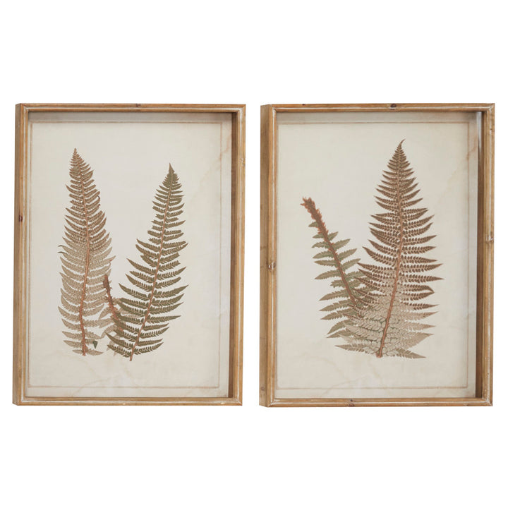 Large Vintage Fern Illustrations - 2 Piece Picture Frame Graphic Art Set on Wood Sand & Stable™