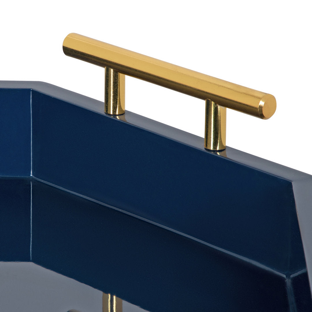 Norvan Ottoman/Coffee Table Tray Everly Quinn Color: Navy Blue