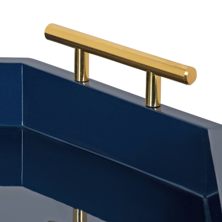 Norvan Ottoman/Coffee Table Tray Everly Quinn Color: Navy Blue
