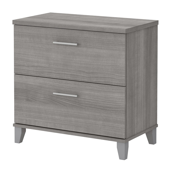 Magomed 2-Drawer Lateral Filing Cabinet Gracie Oaks Color: Platinum Gray
