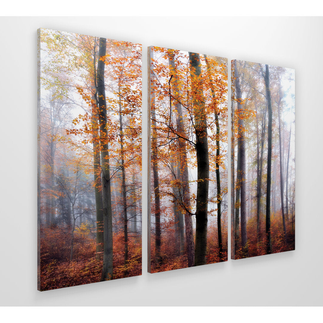 Lost in the Forest - 3 Piece Wrapped Canvas Multi-Piece Image Print Set Alcott Hill® Overall Size: 32" H x 48" W x 1.5" D