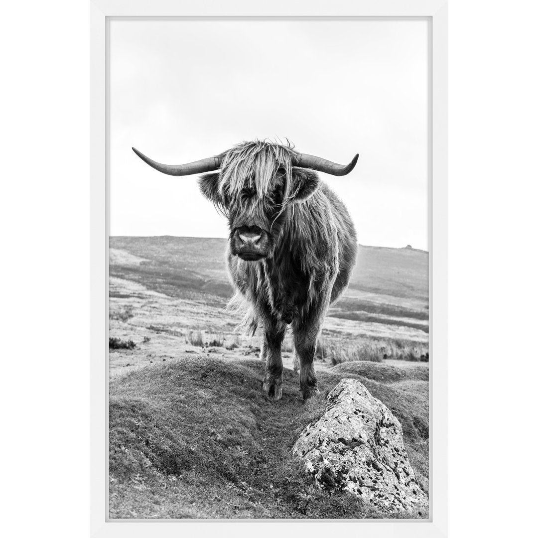 On a Hill - Picture Frame Photograph Print Union Rustic Size: 18" H x 12" W x 1.5" D