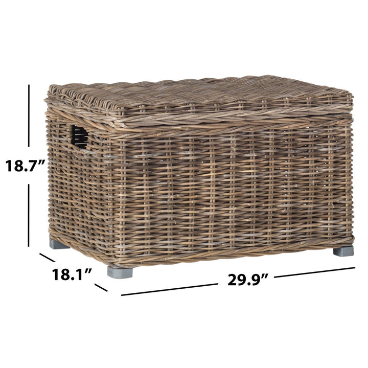 Whyte Wicker Trunk Bay Isle Home™
