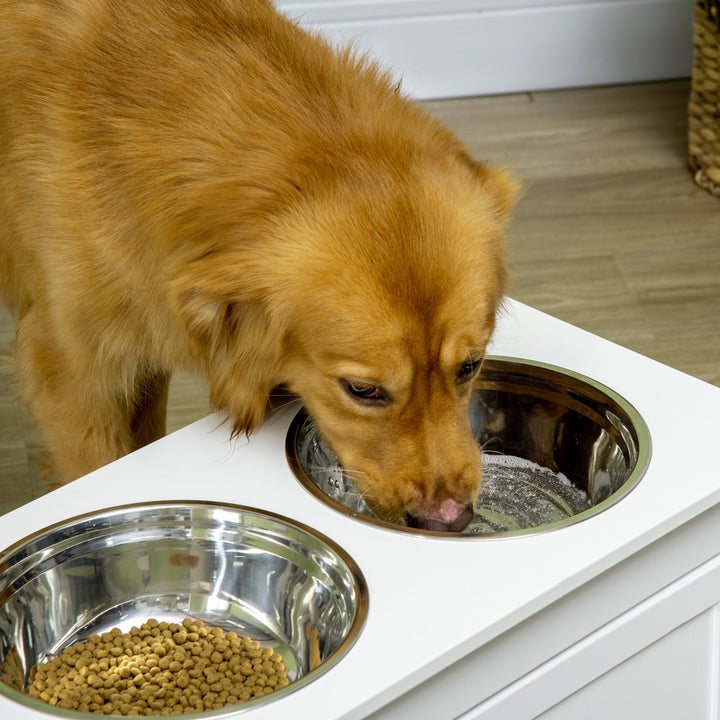 Bowls for Large Dogs Elevated Feeder Pawhut Color: White