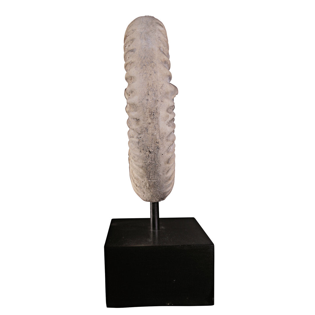 Ammonite Fossil Mount Sculpture Design Toscano