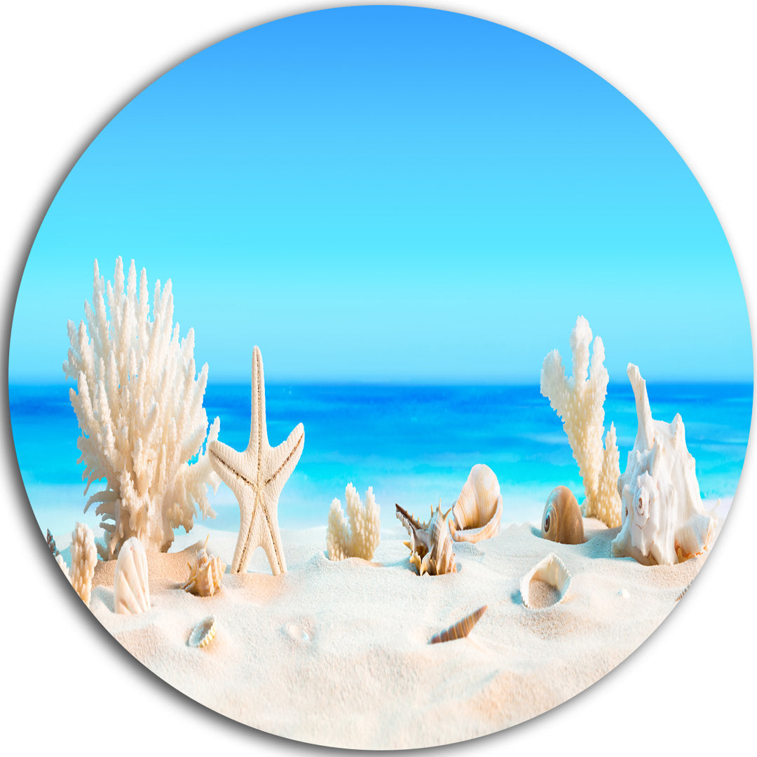 Risa Seashells on Tropical Beach' Graphic Art Highland Dunes Size: 23" H x 23" W x 1" D Format: Metal