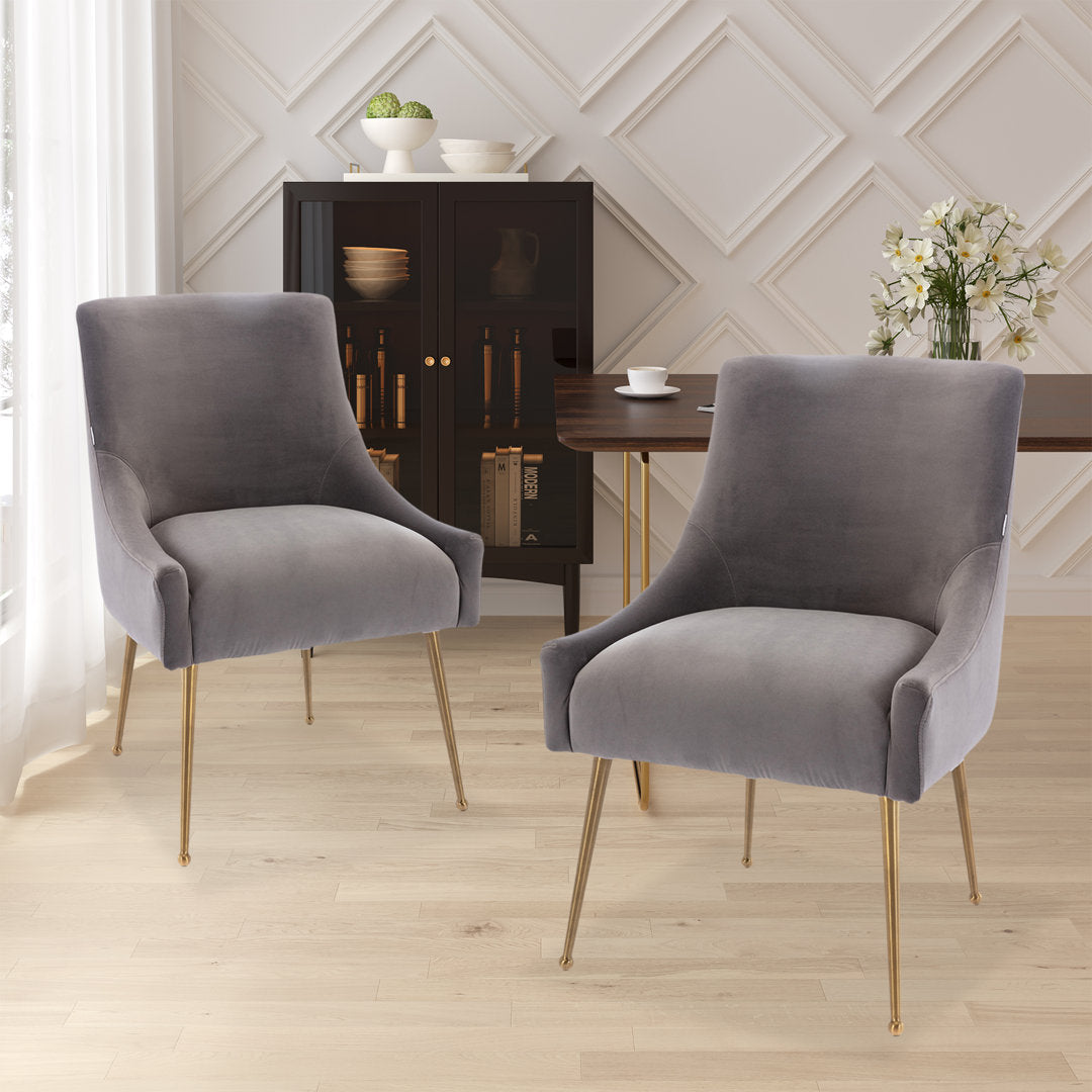 Magallanes Velvet Upholstered Side Chair (Set of 2) Willa Arlo™ Interiors Upholstery Color: Gray