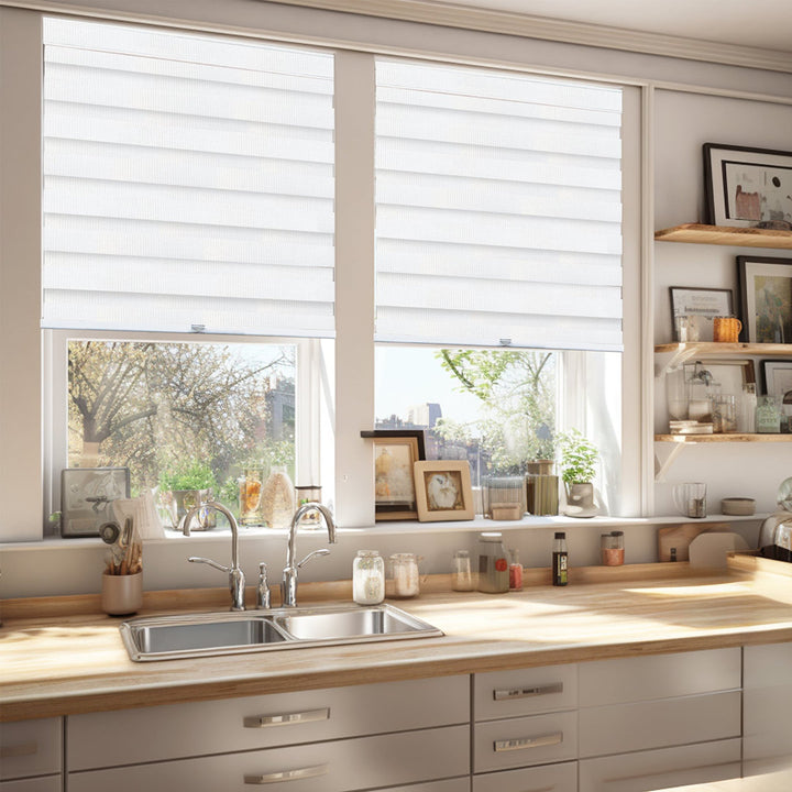 Premium Room Darkening Roller Shade Latitude Run® Length & Width: 44"W x 72"L, Finish: Basic Arctic