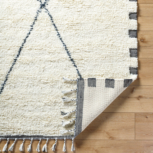 Mirela Majestic Medallion Handcrafted Rug