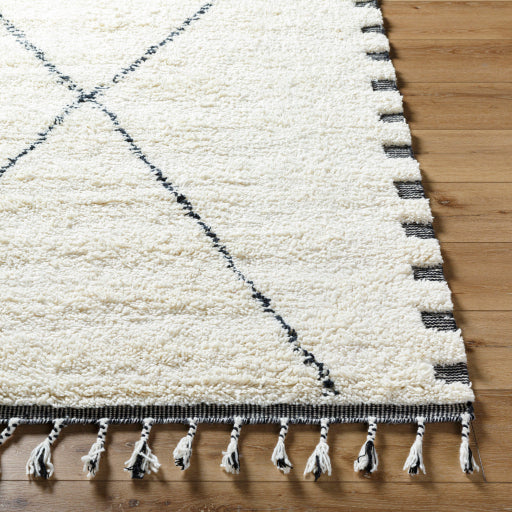Mirela Majestic Medallion Handcrafted Rug
