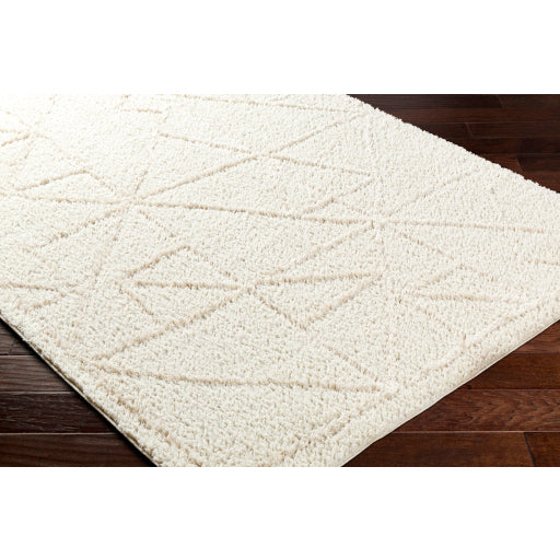 Maryland Shimmer Shag Machine Woven Rug
