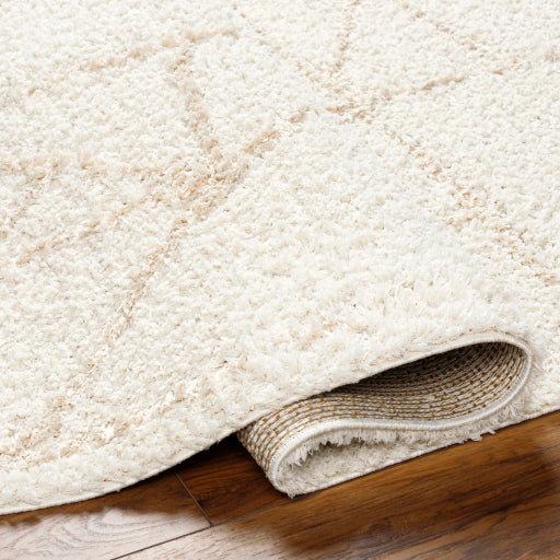 Maryland Shimmer Shag Machine Woven Rug