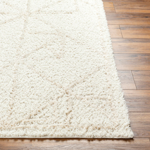 Maryland Shimmer Shag Machine Woven Rug