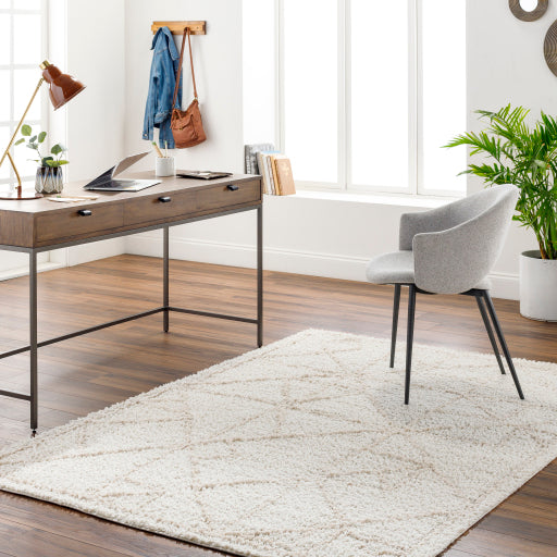 Maryland Shimmer Shag Machine Woven Rug