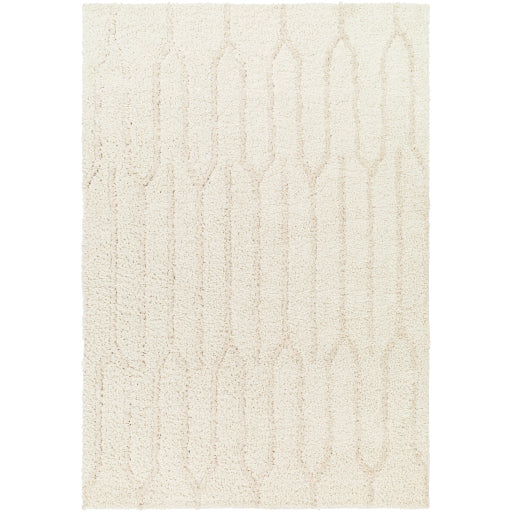Maryland Shimmer Shag Machine Woven Rug