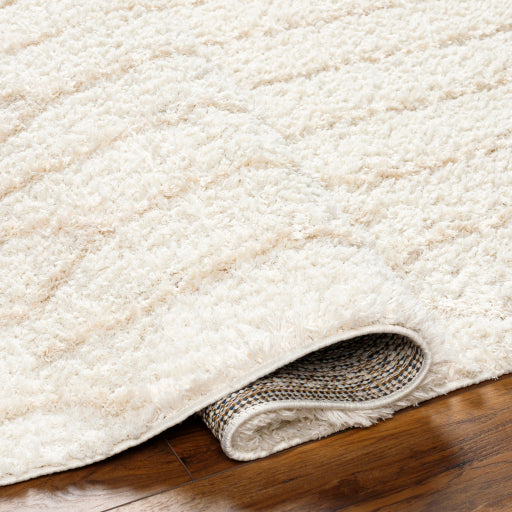 Maryland Shimmer Shag Machine Woven Rug