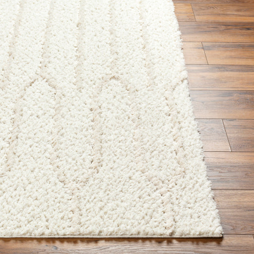 Maryland Shimmer Shag Machine Woven Rug