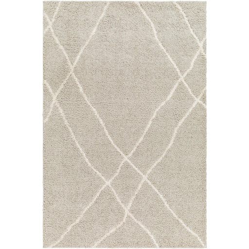 Maryland Shimmer Shag Machine Woven Rug