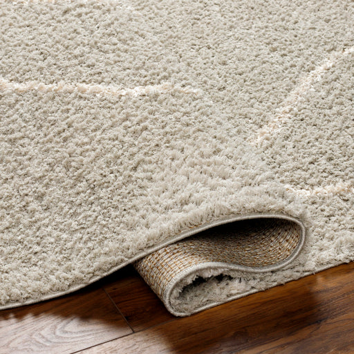Maryland Shimmer Shag Machine Woven Rug