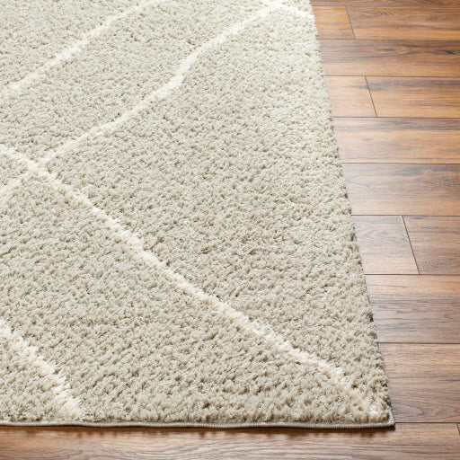 Maryland Shimmer Shag Machine Woven Rug